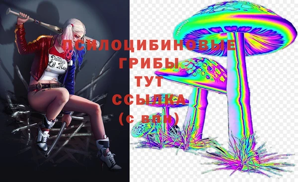 гидра Балабаново