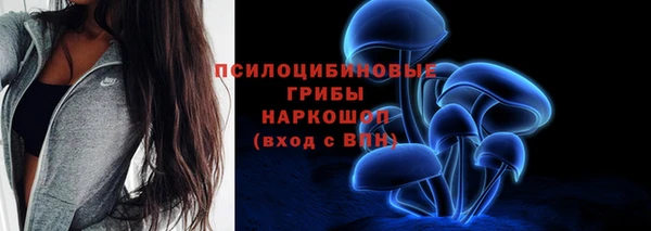 соль ск Белокуриха