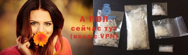 соль ск Белокуриха