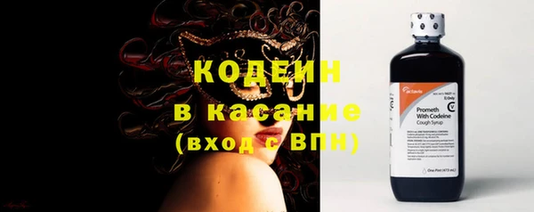 индика Беломорск