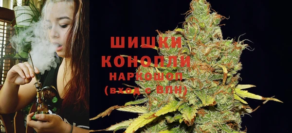 индика Беломорск