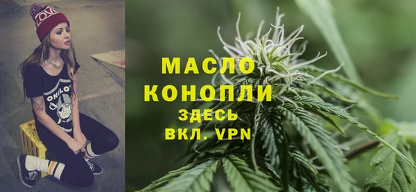 индика Беломорск